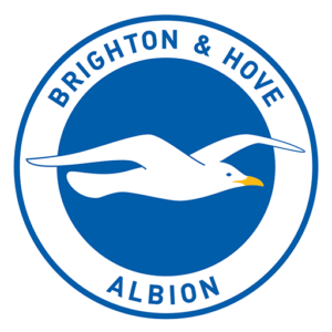 Brighton Football Club Kit / Premier League 2023-2024 / DLS 2025 0